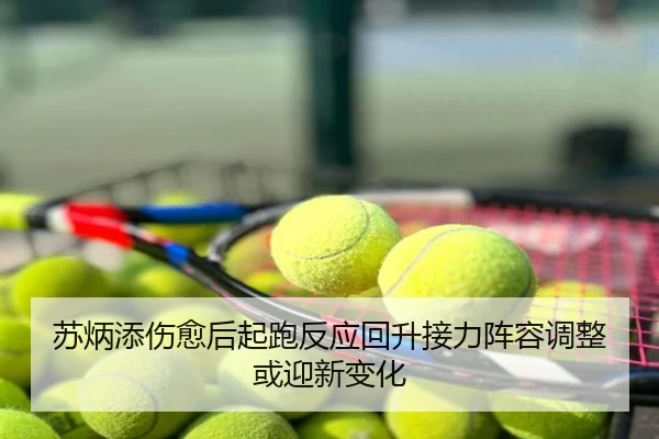 苏炳添伤愈后起跑反应回升接力阵容调整或迎新变化